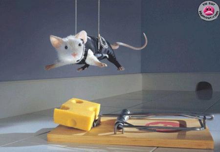 LA VIE EST ENTOUREE DE DANGER